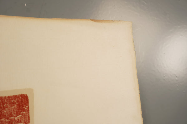 Helmut Kies Lithograph Harlequin Color Lithograph on Paper 1974 - Image 8