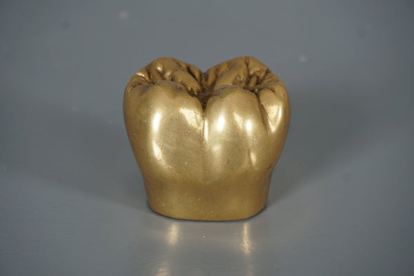 Vintage Brass Tooth Sculpture Paperweight 1960s Gold Brown
