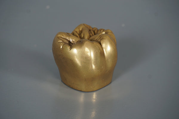 Vintage Brass Tooth Sculpture Paperweight 1960s Gold Brown - Image 2