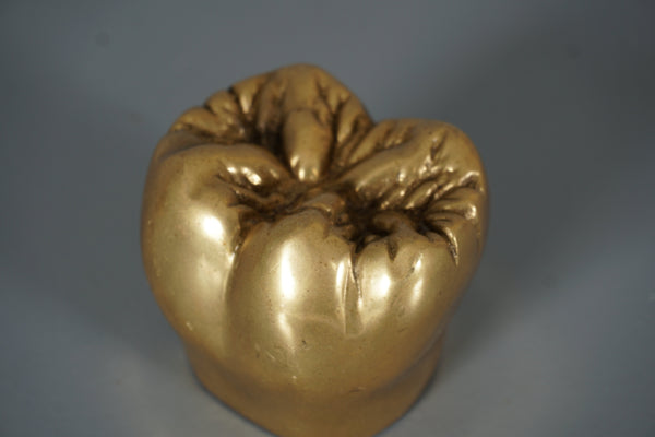Vintage Brass Tooth Sculpture Paperweight 1960s Gold Brown - Image 6
