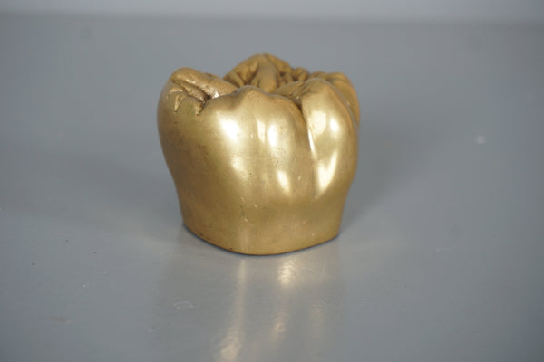 Vintage Brass Tooth Sculpture Paperweight 1960s Gold Brown - Image 9