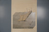 Peter Tuma Art Print Vintage Lithograph 70s Beige Paper