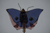 Glas Prader Bolzano Ornament Butterfly 1960s Blue Glass - Image 6