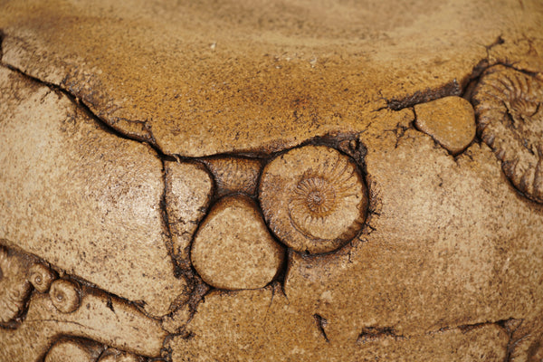 Vintage Ceramic Bowl Planter 1960s Tan Brown - Image 9