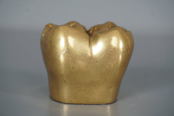 Vintage Brass Tooth Sculpture Paperweight 1960s Gold Brown - Image 4