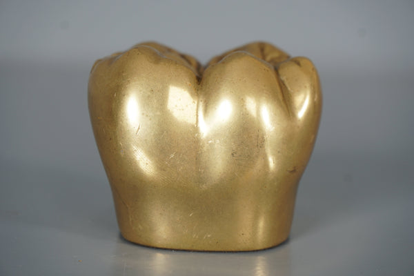 Vintage Brass Tooth Sculpture Paperweight 1960s Gold Brown - Image 5