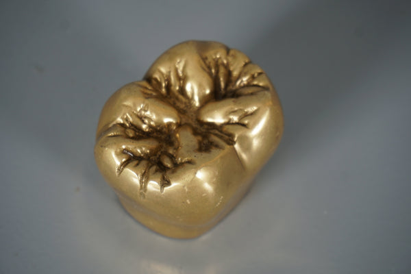 Vintage Brass Tooth Sculpture Paperweight 1960s Gold Brown - Image 7