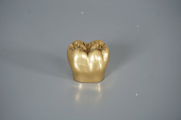 Vintage Brass Tooth Sculpture Paperweight 1960s Gold Brown - Image 8