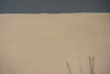 Peter Tuma Art Print Vintage Lithograph 70s Beige Paper - Image 6