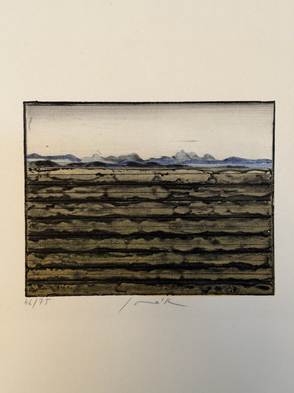 Pravoslav Sovak Art Print Etching 1976 - Image 2