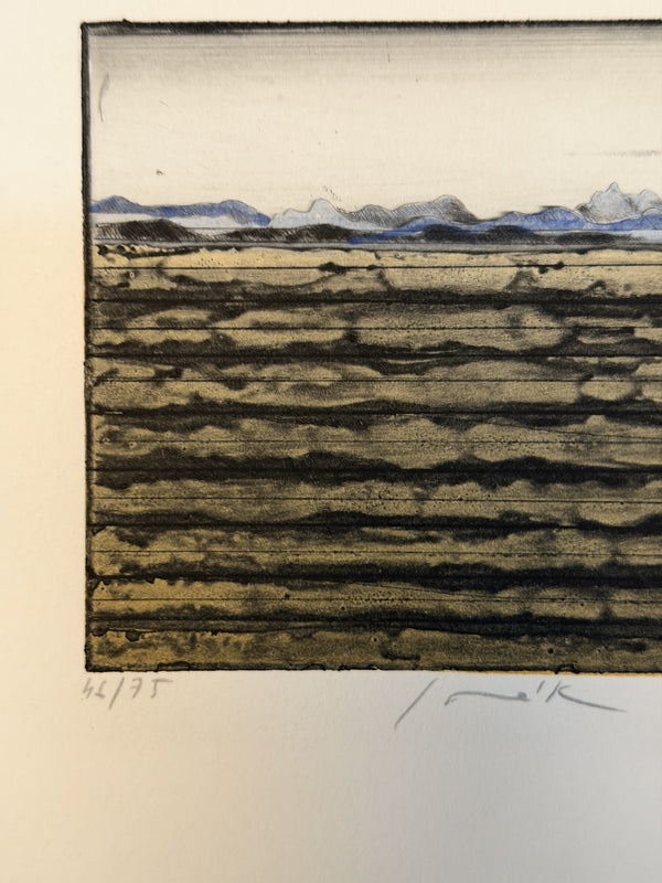 Pravoslav Sovak Art Print Etching 1976 - Image 3