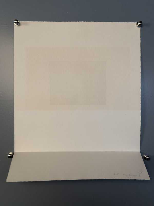 Pravoslav Sovak Art Print Etching 1976 - Image 7